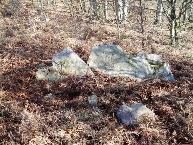 Xafran 1 ipar  trikuharria