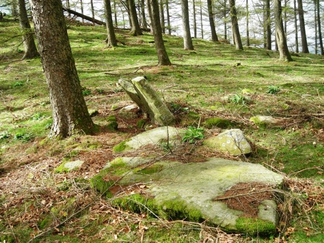 Larrakaitza trikuharria