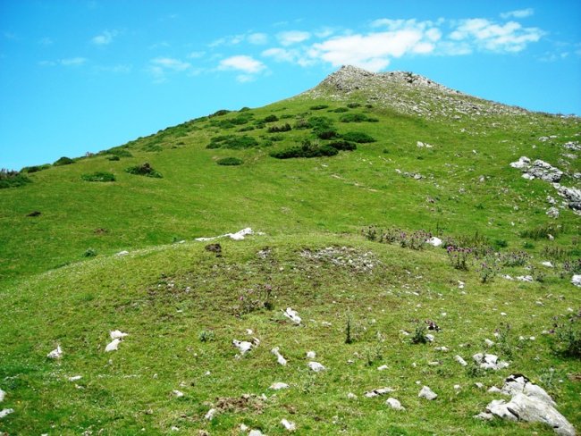 Gaztelueta fondo de cabaña