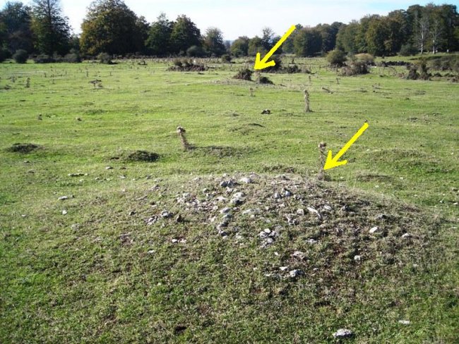 Balsas del Corral de Narciso campo tumular