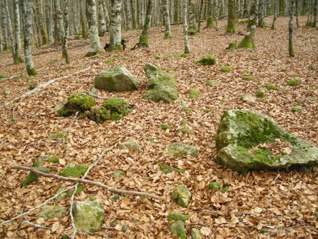 Arzilo 2 hego trikuharria