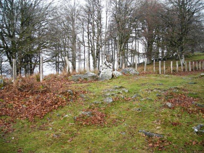 Lindus 1 hego trikuharria