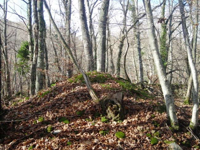 Arotzeneko Borda tumulua