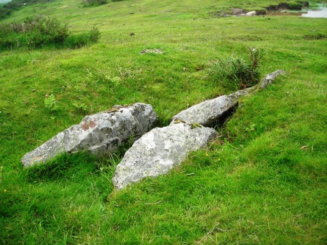 Azpegi 4 hego trikuharria