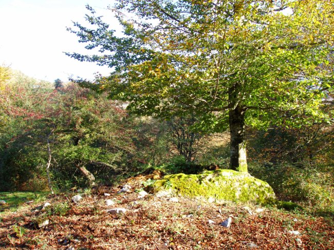 Ibiaga, pistatik oso hurbil