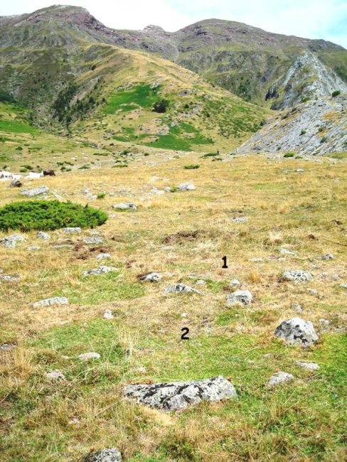 Base Mallo Blanco harrespilak