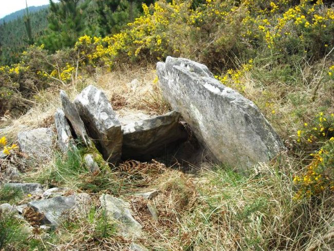 Oiantzar trikuharria