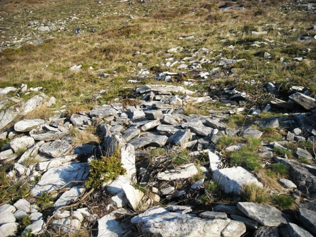 Latargi 1 trikuharria