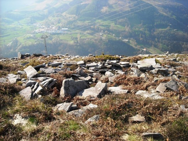 Latargi  9  trikuharria