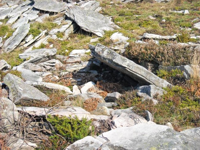 Latargi 14 trikuharria