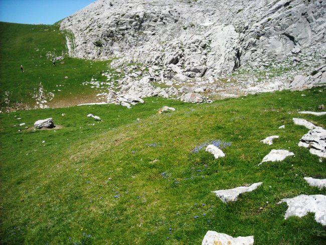 Ezpainpea etxola hondoa