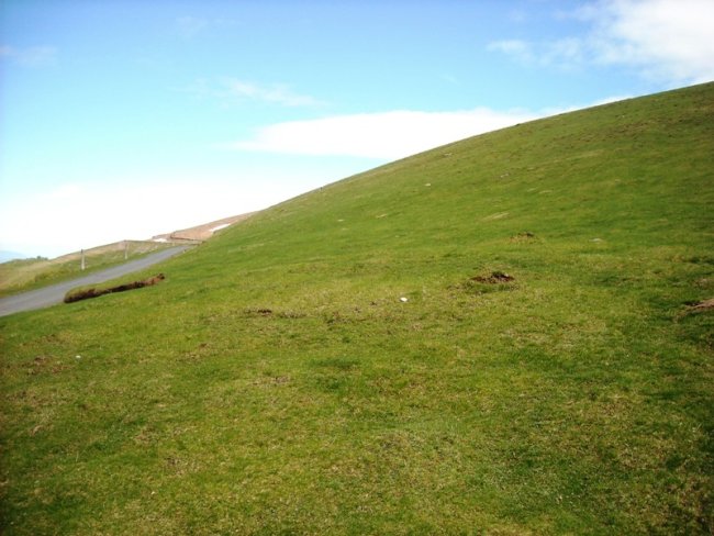 Murkuilako Lepoa harrespila