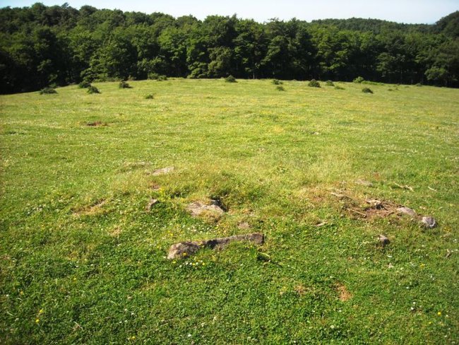 Buabakar eremu tumularra