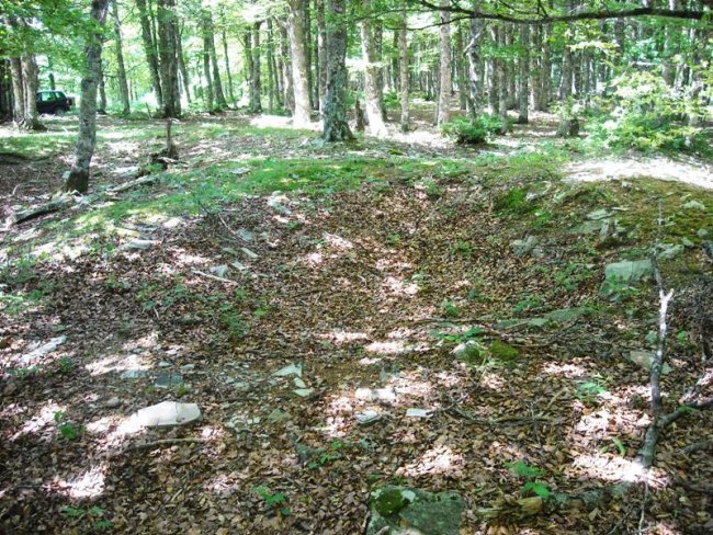 Korona mendebalde  1 trikuharria