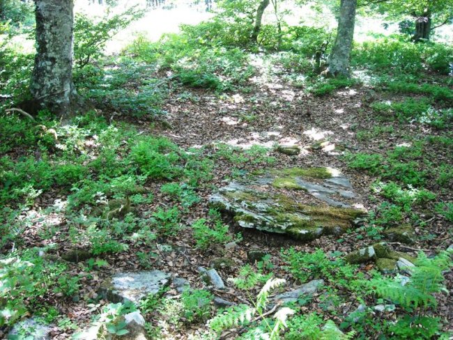 Korona mendebalde  2  trikuharria