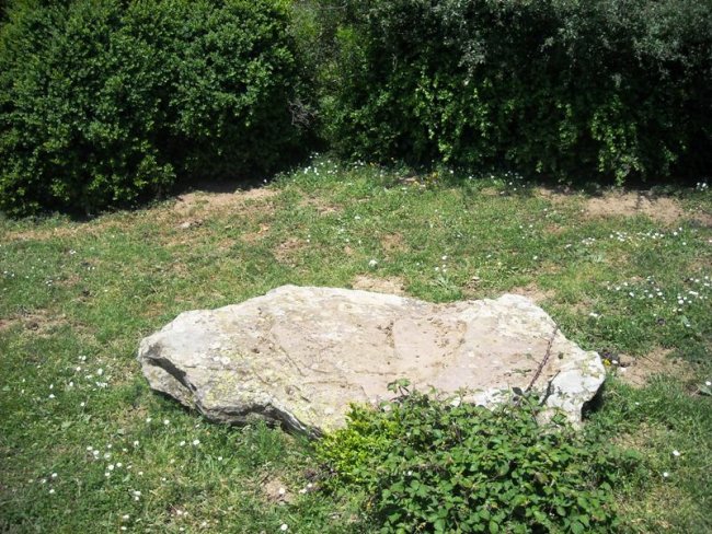 Zanaz  2  trikuharria