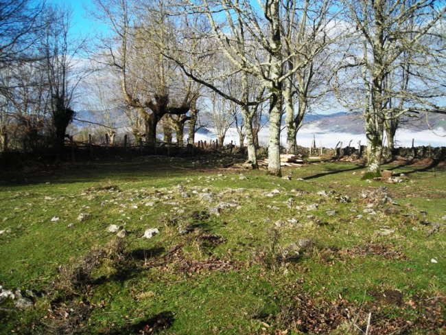 Etxebarrengo Borda  eremu tumularra