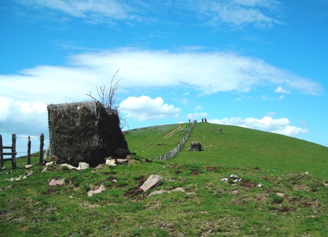 Buztanberro 1  harrespila