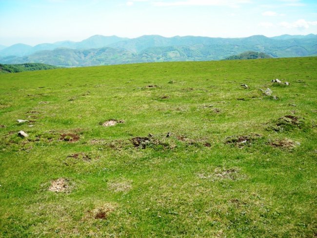 Ernazabalgo Soroa harrespilak