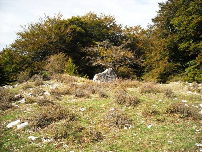 Gaztelamendi trikuharria