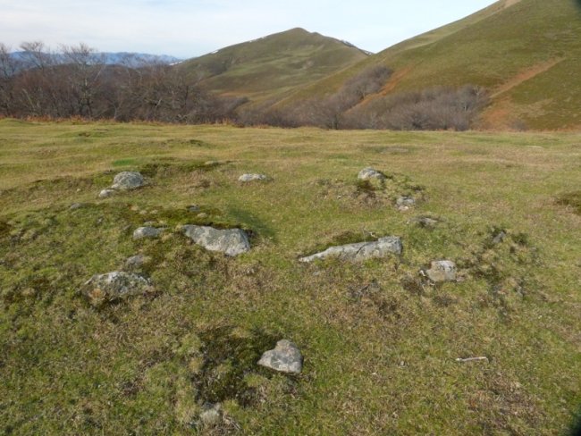 Sagardegiko lepoko harrespilak