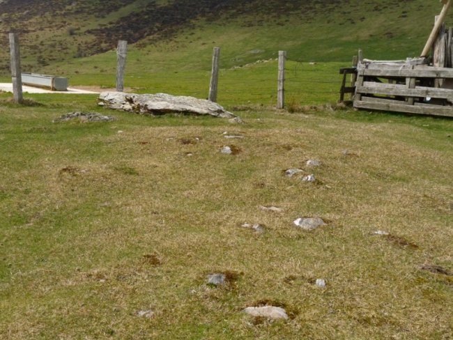 Beraskoain trikuharria