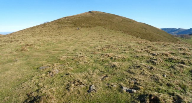 Etsain bizkarra, ia antzemanezina