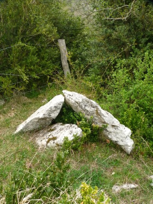 Portillo de Ollate 2