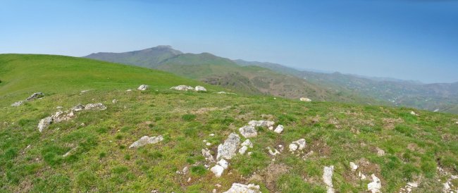 Lupuzuriko harrespila