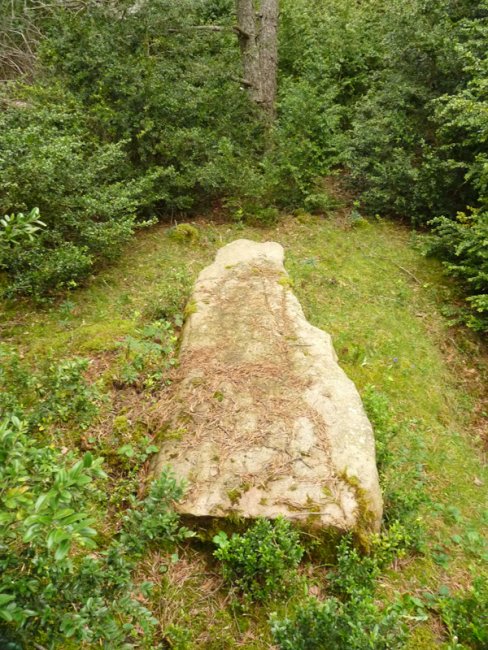 Fuente de la pilako zutarria