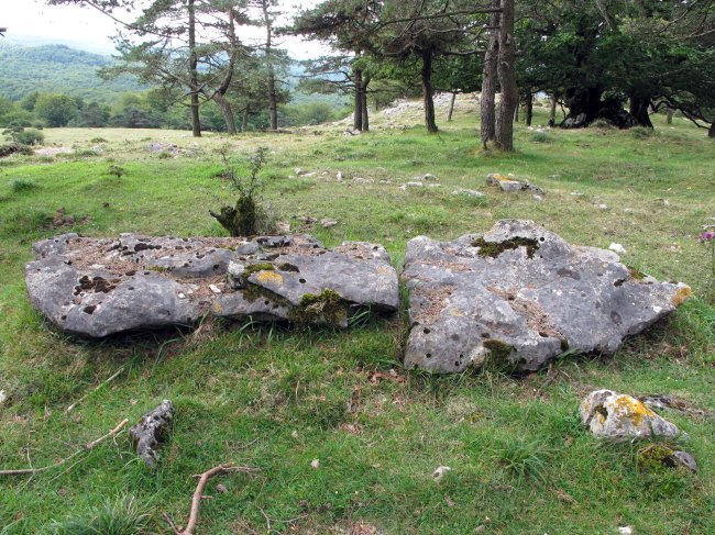 Santa Marina zutarria