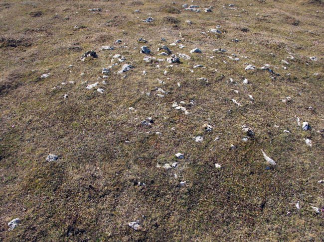 REGALBAR 2 mendebal tumulua