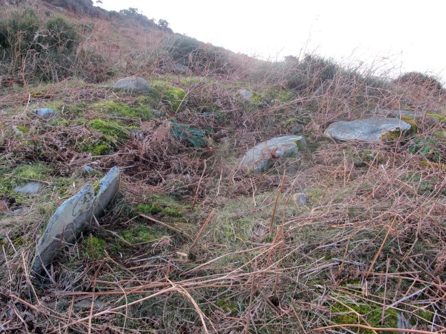 Xoldokozelai 1 trikuharria