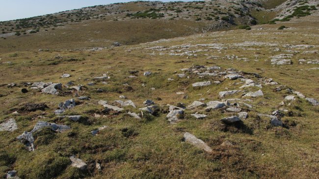 El Brinkulo txabola tumularra, Andia