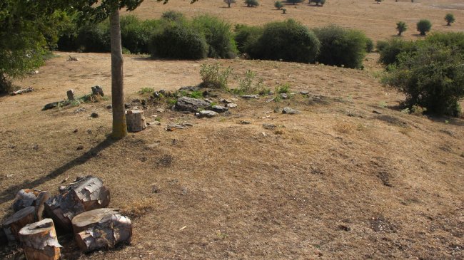 Arbeltz txabola tumularra, Andia