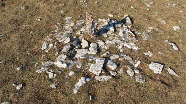 Osaleze txabola tumulara, Andia