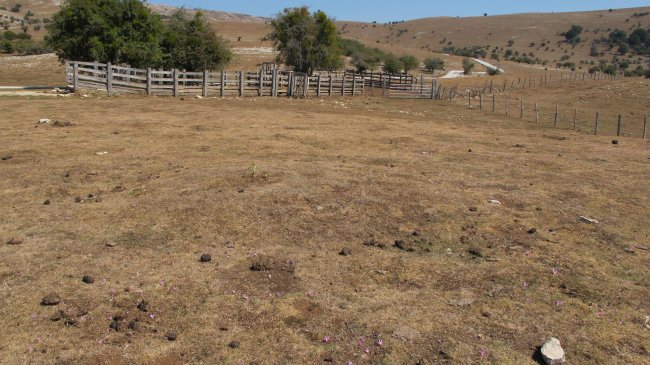 Soosa 1 mendebalde tumulua, Andia