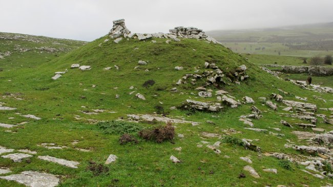 Arioleta txabola tumularra, Andia