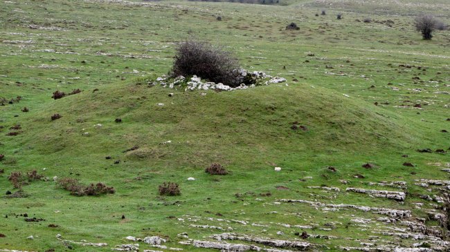 Zamargiñen Txabola txabola tumularra, Andia