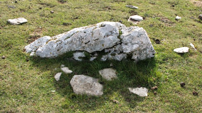 Beorzulo zutarria, Andia