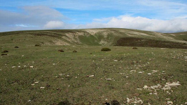 Mangones 4 eraztun tumulua, Andia