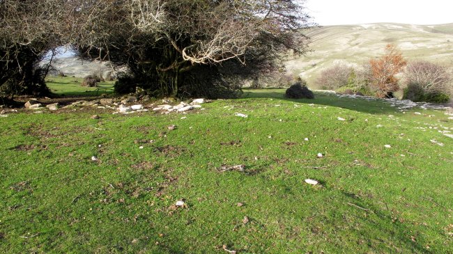 Izpia 1 etxola hondoa, Andia