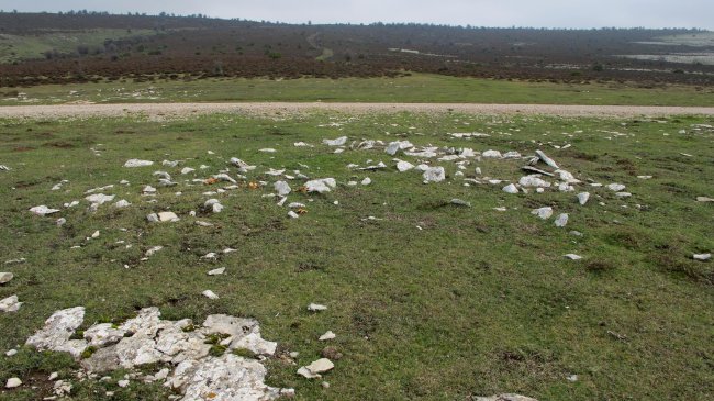 Ikomarko Sakana tumulua, Andia