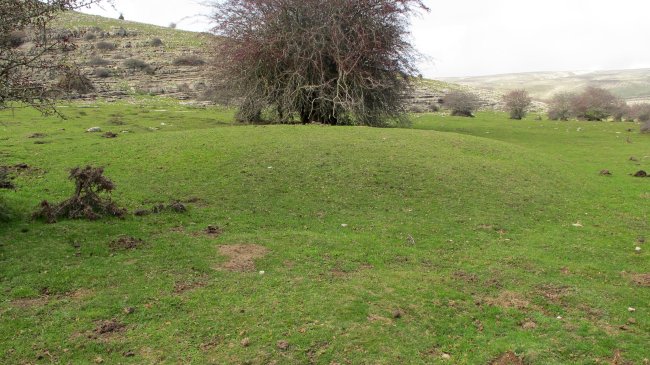 El Orinal 1 ipar etxola hondoa, Andia