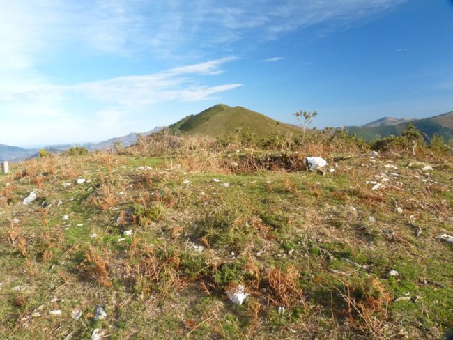 Artaleku trikuharria