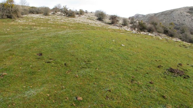 Belokiko Txabola etxola hondoa, Urbasa