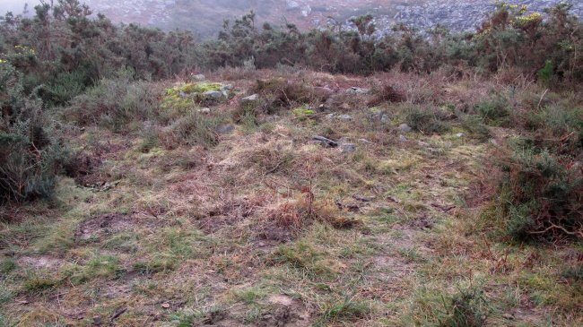 Androla II Hego trikuharria, Azkaine