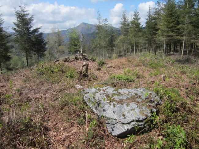 Dólmen Trikumuttegi Abril 2013