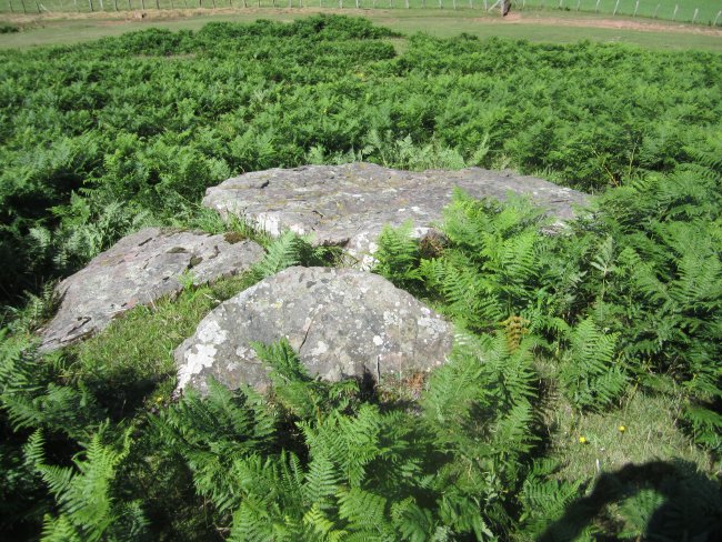 Menhir Berdaritz 2     (Julio 2012)