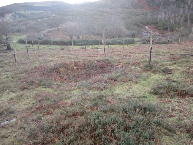 Cromlech La Plana  ( Febrero 2014)